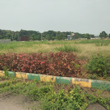 nizam